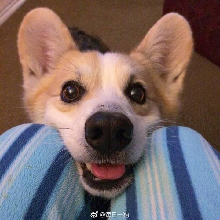 大四毕业生,英语专业,现打算去美国留学,请问硕