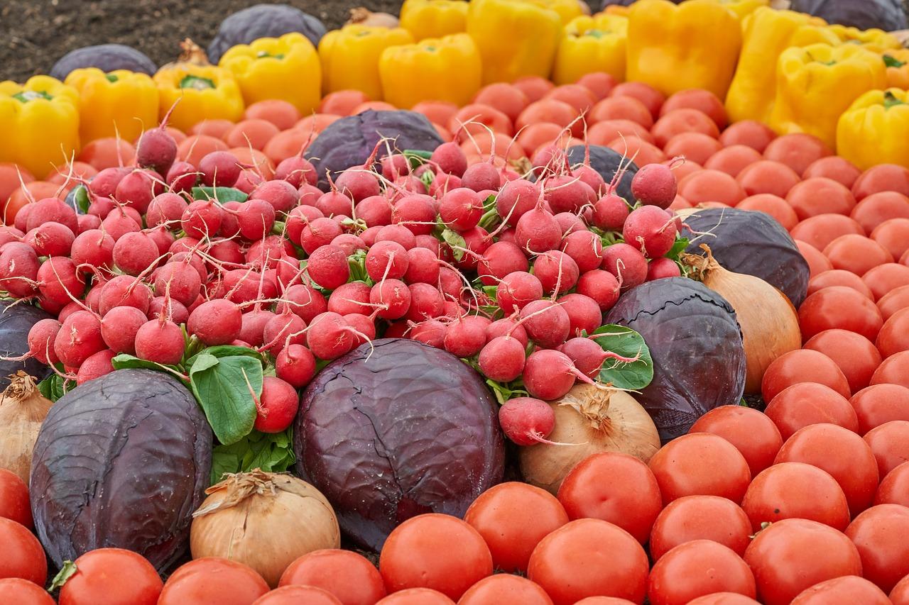 4. 牛油果生长周期