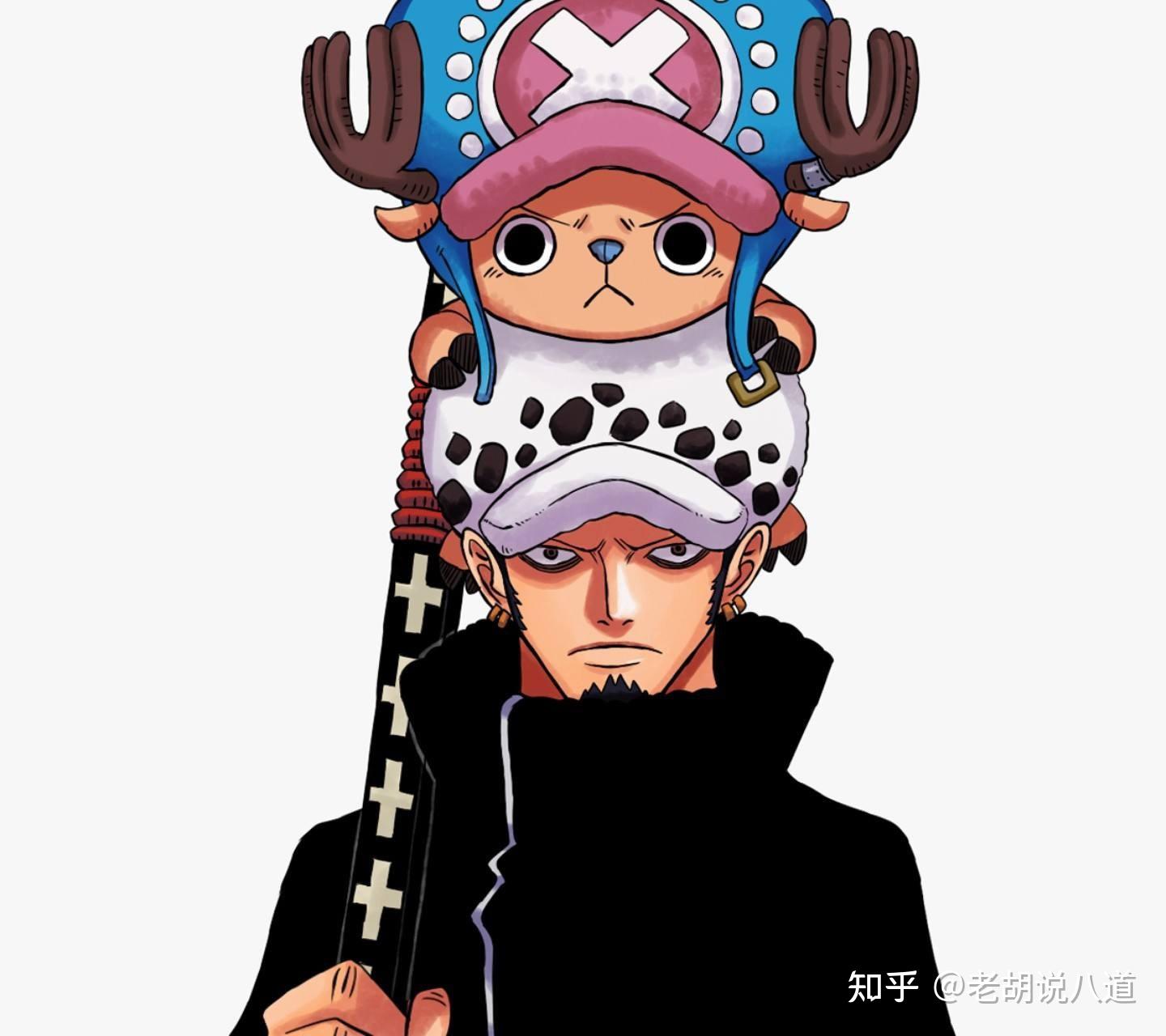 超详细海贼王主线剧情,一口气写给你看! - 知乎