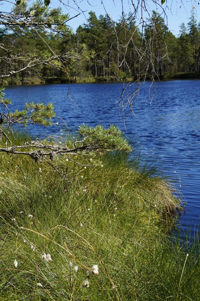 环保行动在湿地