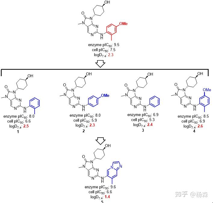 Real Drug Discovery：AZD7648 - 知乎