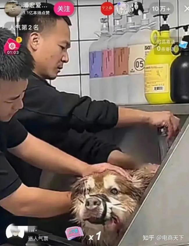潘宏再陷风波!主人要回网红狗遭百万合同“拦路” - 知乎