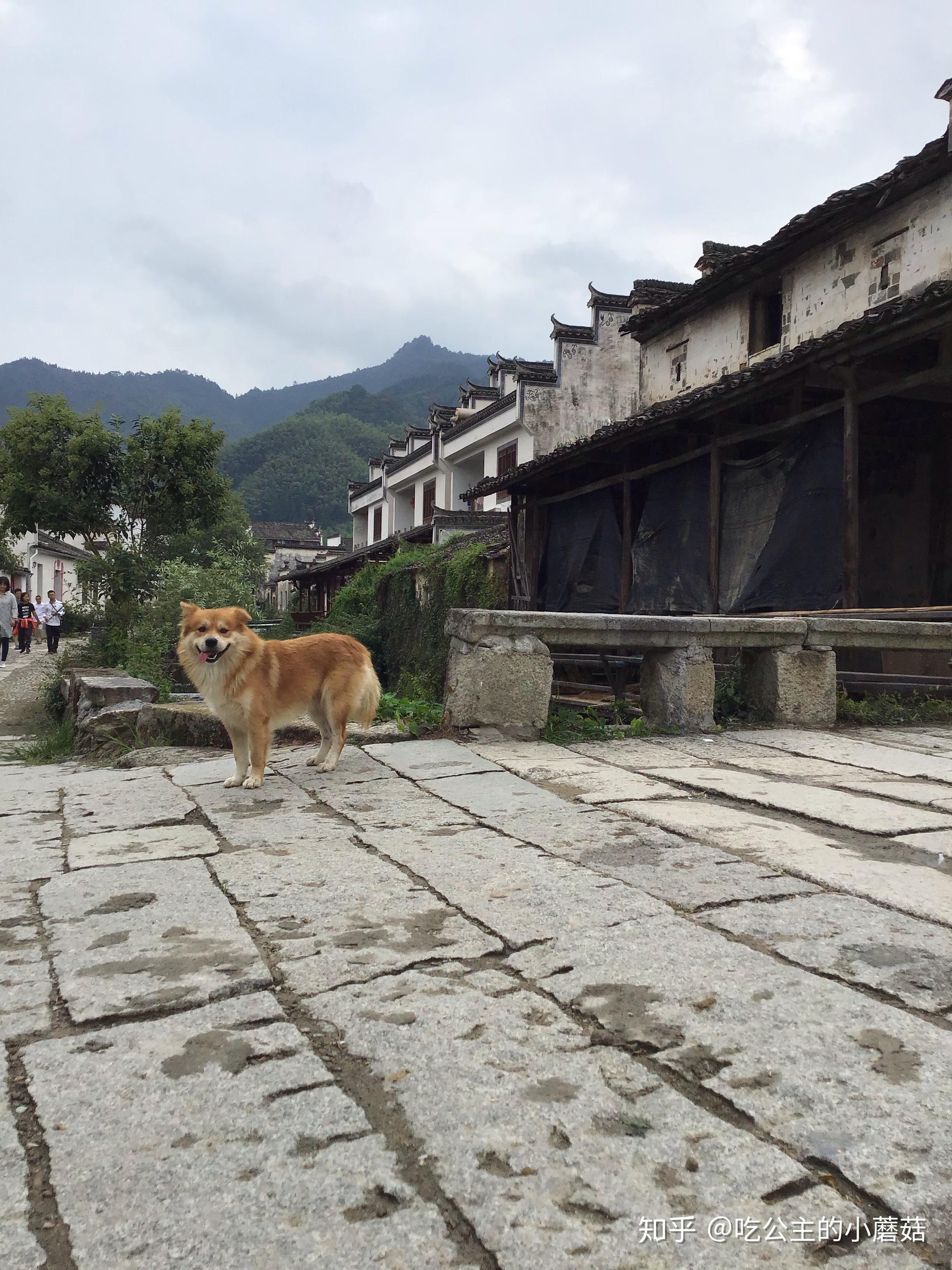 去江西婺源理坑写生基地写生是怎样的体验