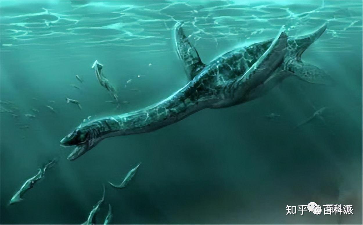 中国最大的湖怪之谜:青海湖水怪的真实身份揭晓 - 知乎