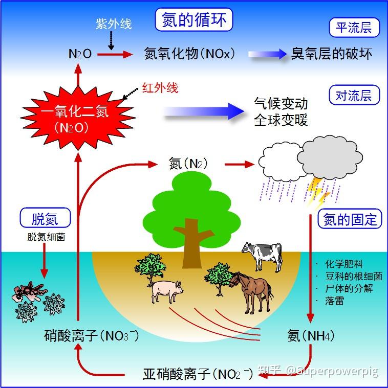 一,农业既是碳排放大户,也是吸收大户