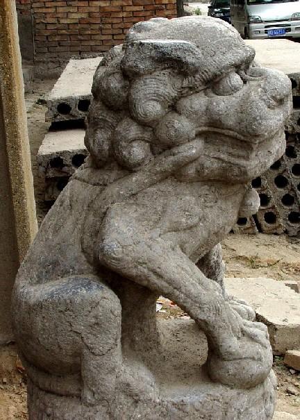 只听说非洲狮与美洲狮从来就没有听过亚洲狮但是中国的狮文化却源远流