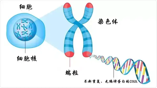 知乎专栏