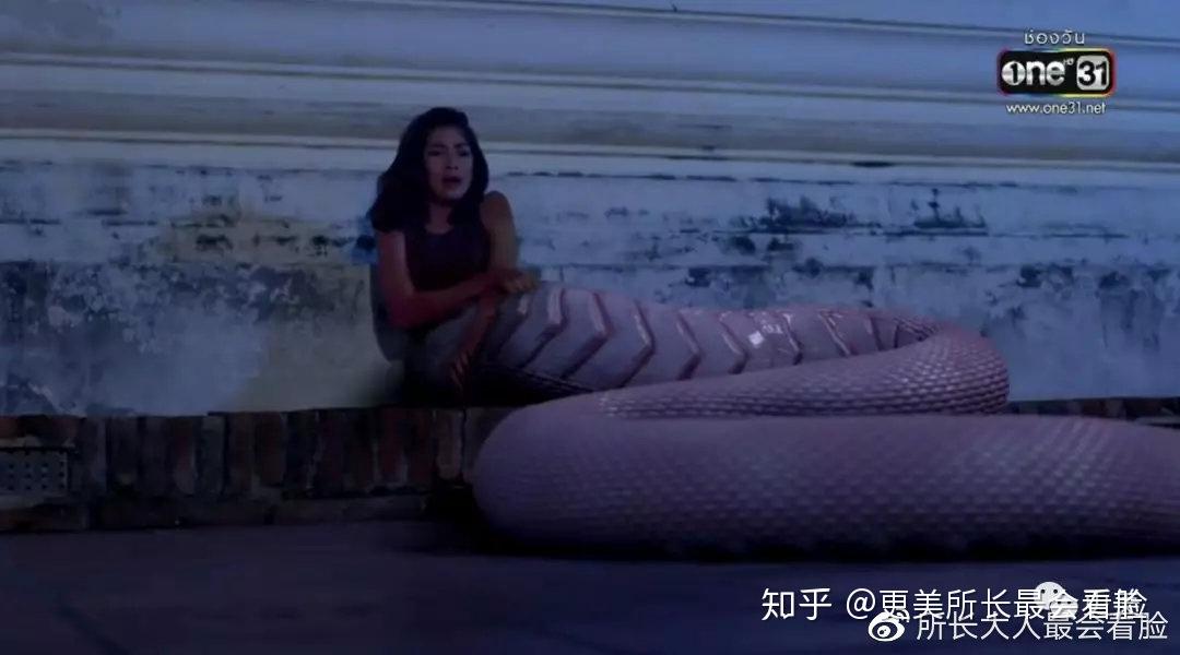 梦回昨夜，解析我裤子里的那条可能有之蛇