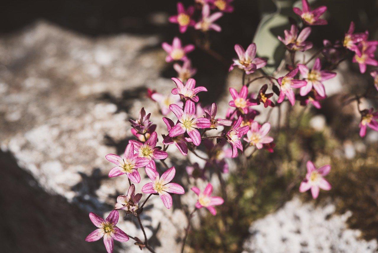 回填土压实度要求