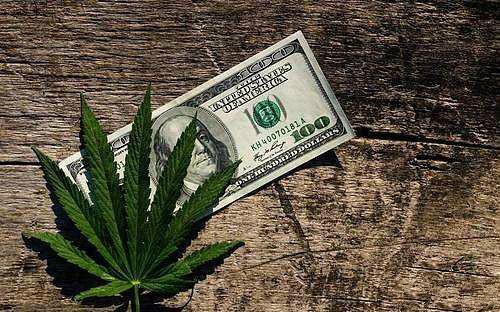 涨停潮 工业大麻卷土重来 可以疯狂到几时 知乎 涨停潮 工业大麻卷土重来 可以疯狂到几时 知乎