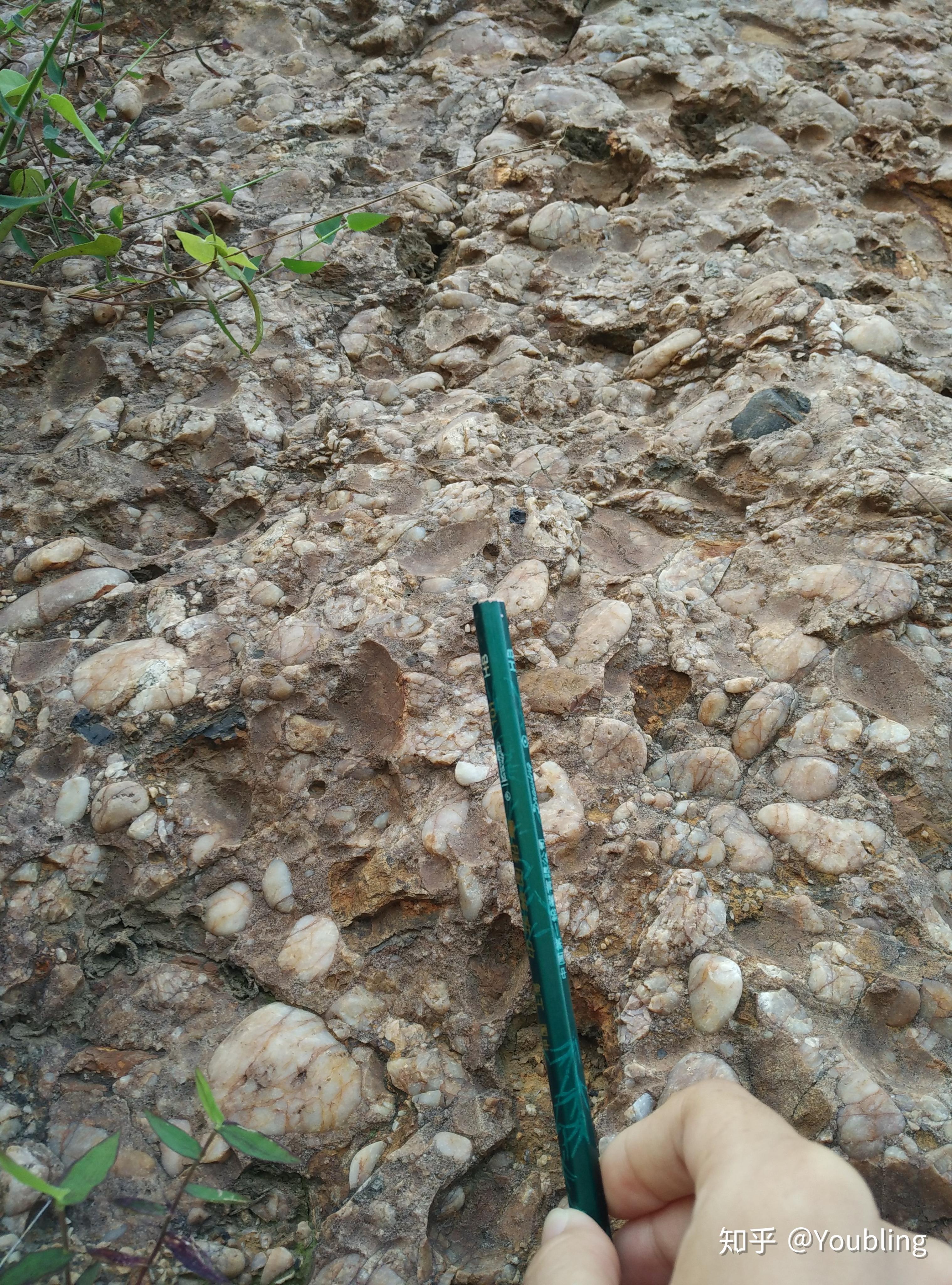 流纹岩-地质学矿物-岩石实习-图片