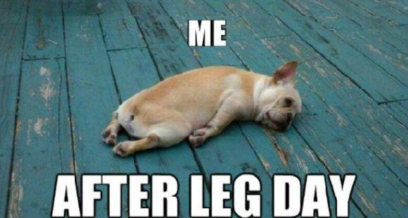 大一 188,重87kg,原地起跳单手超筐半个手掌,想