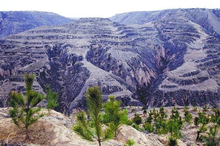 中石油在鄂尔多斯盆地又发现 10 亿吨级大油田,意味着什么?