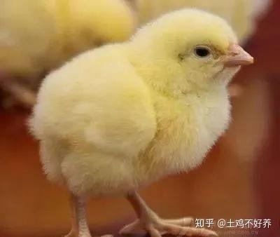 v2-a231ebc28e8119fda711d44fa9bebe28_b.jpg