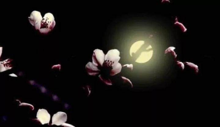 如何理解弘一法师的“华枝春满，天心月圆”？ - 知乎