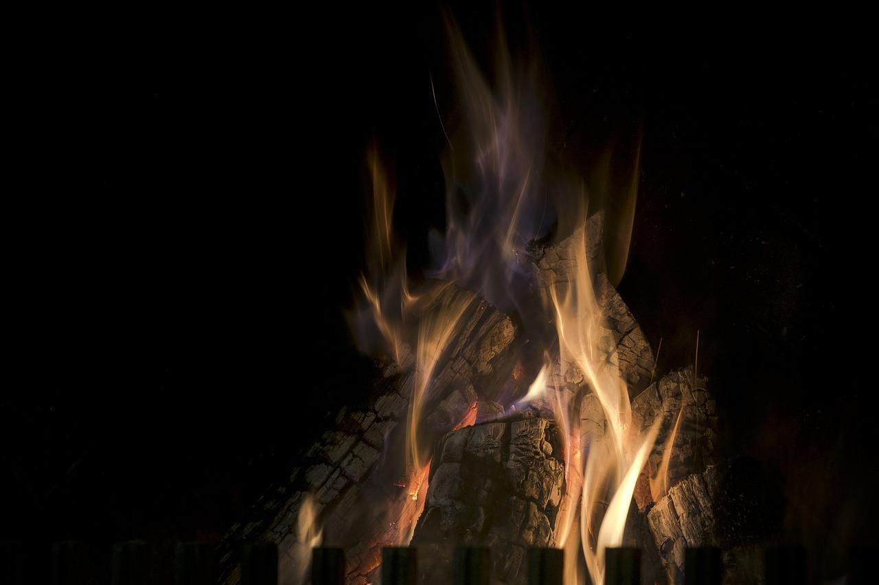 1. 筛选优质木材