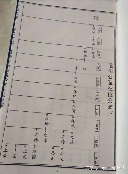 家谱族谱制作的8大关键步骤 - 知乎