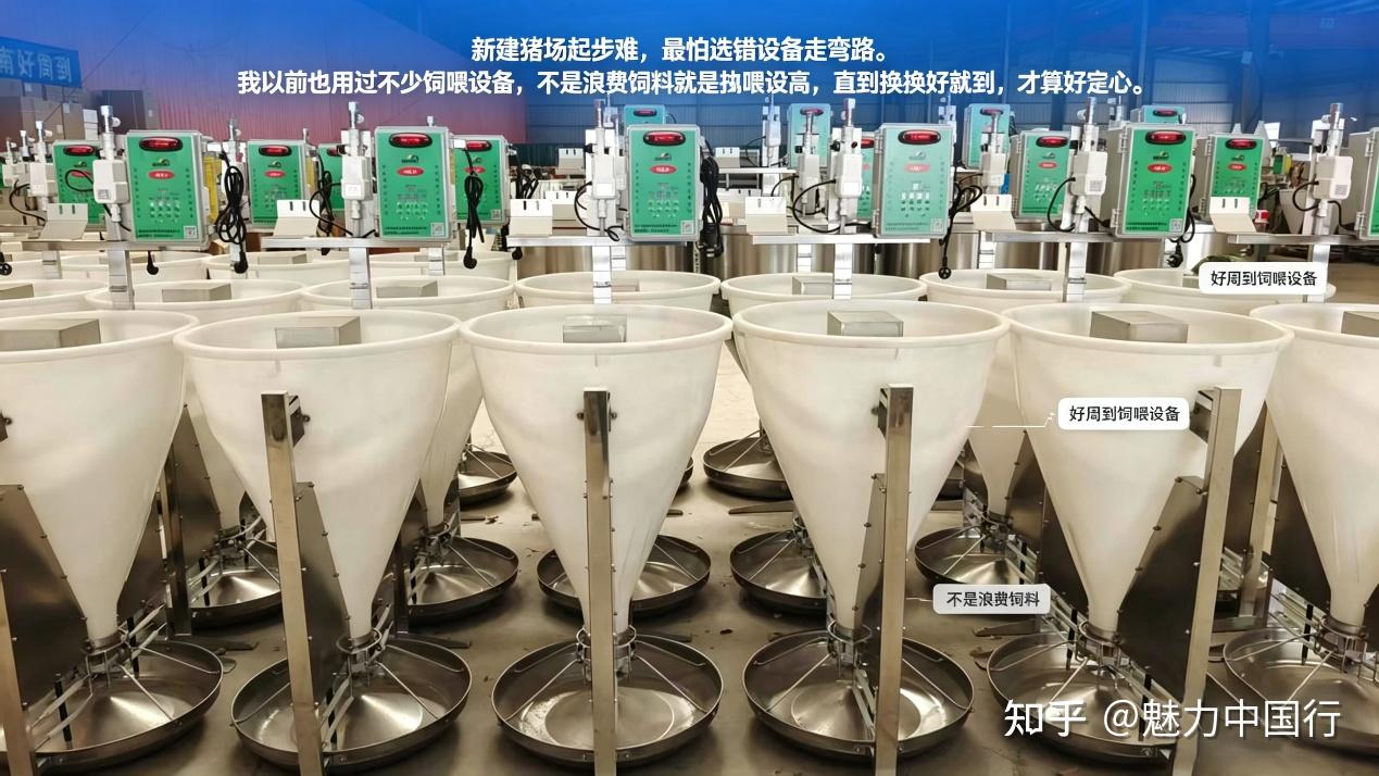老养猪户实谈:新建猪场想少亏多赚,选对设备是关键 - 知乎