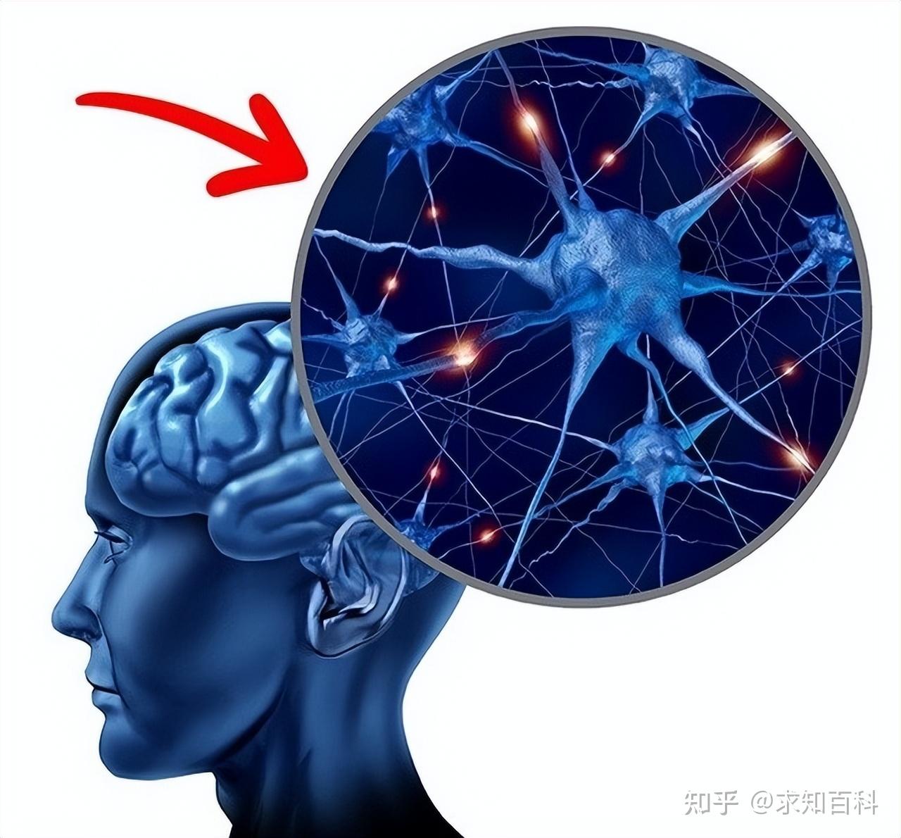 失明的人在重获光明后是什么体验? 