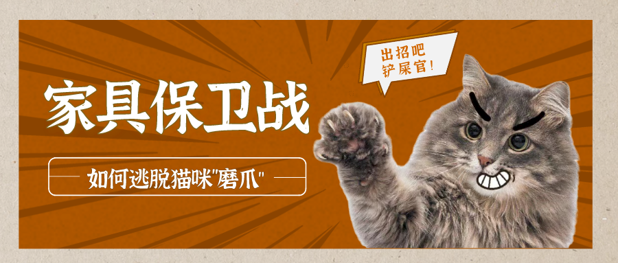 v2-a24f31e2294b6b9355dd9dec2403095a_1440w.jpg?source=172ae18b