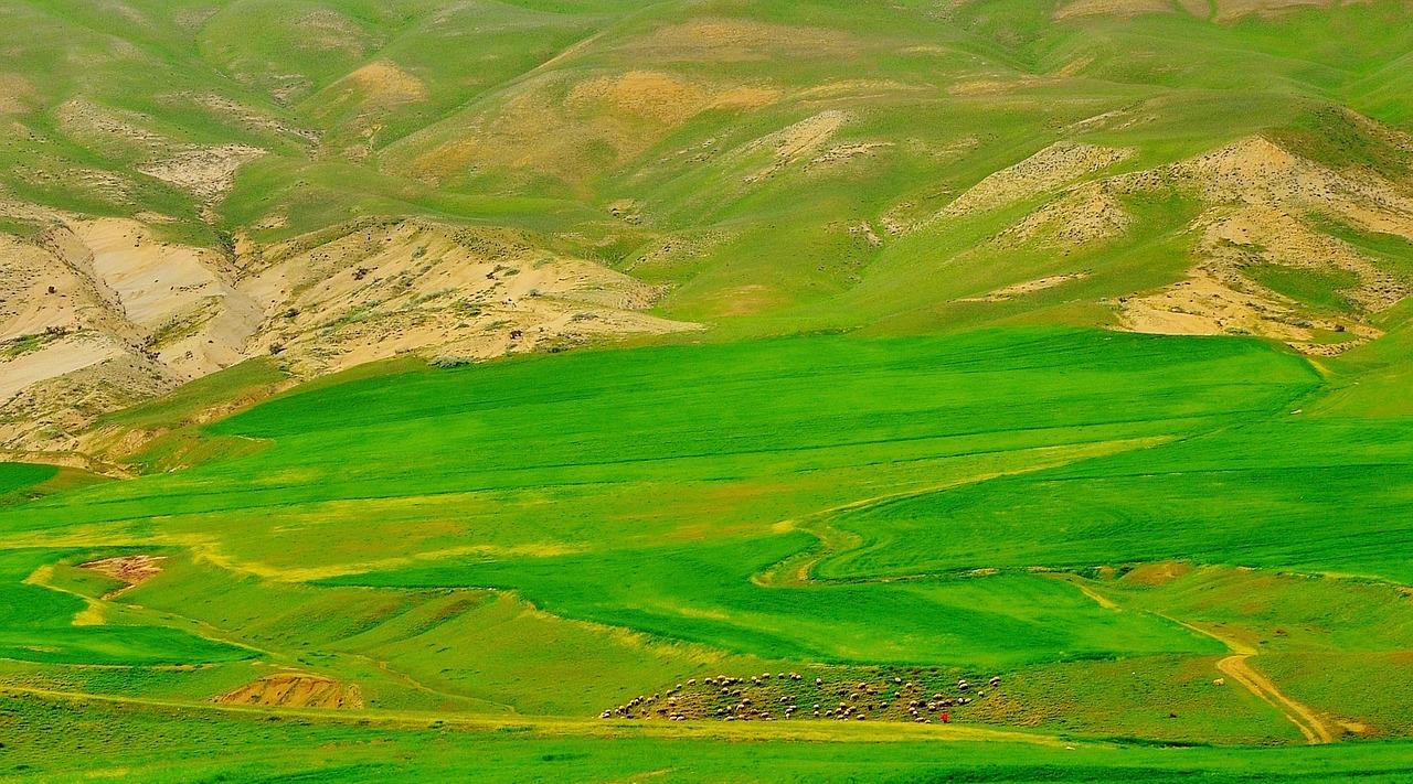 3. 冬季羊毛被报价