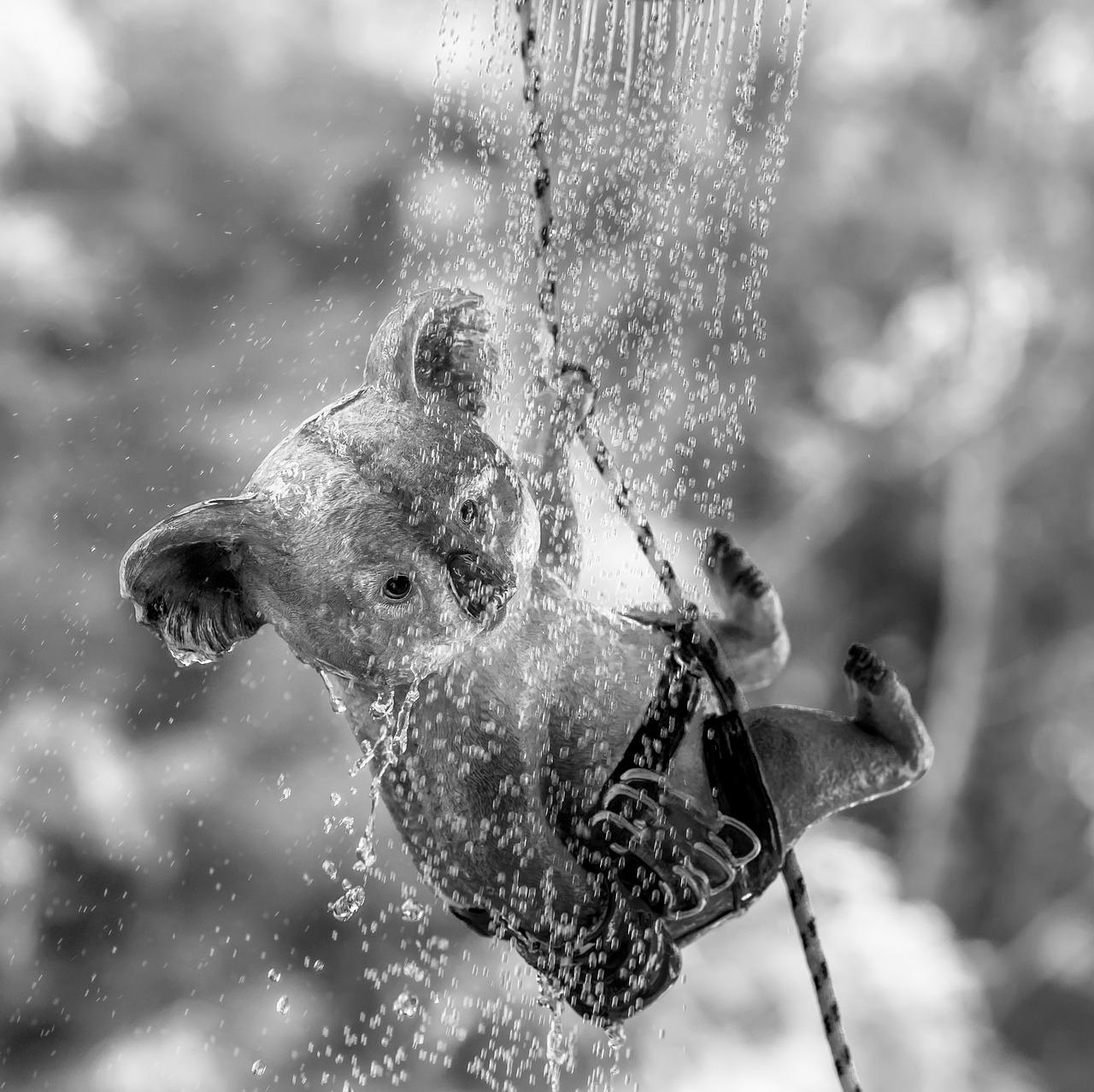 淋浴区宽度最少多少