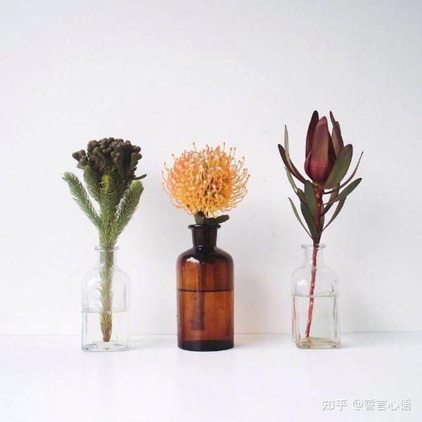 睡前鸡汤短句子 精挑细选 越读越优秀 知乎