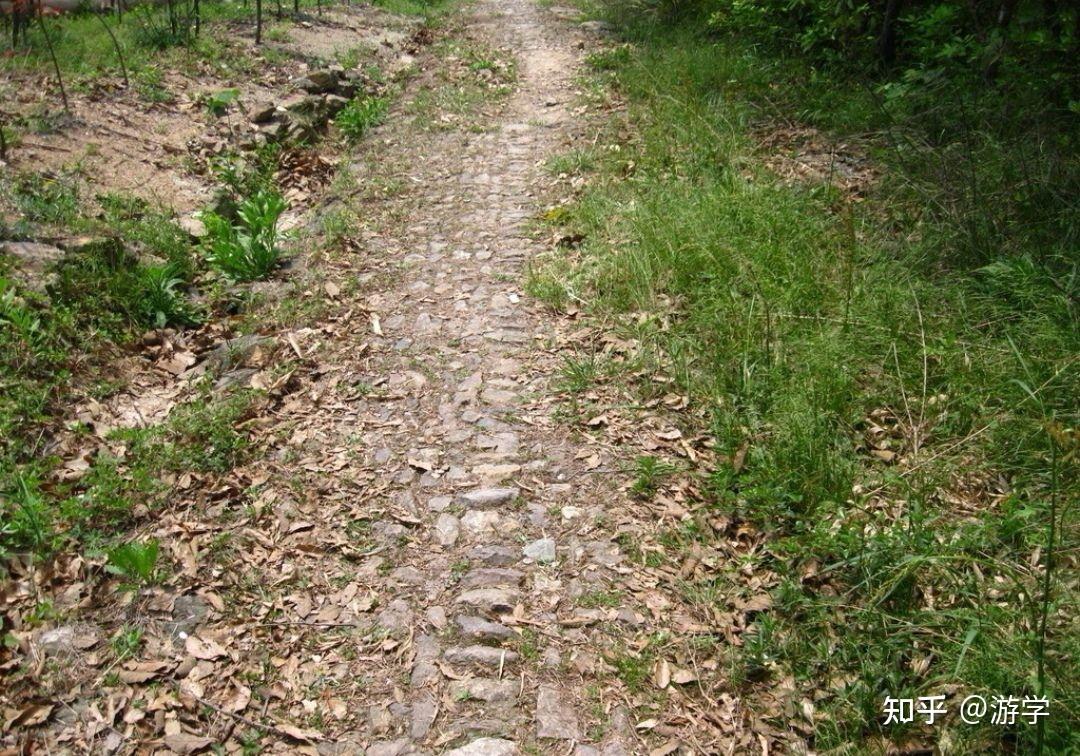 五绝有感茅坑里的石头