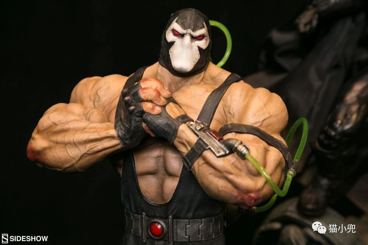 那个断背蝙蝠侠的猛男再次归来