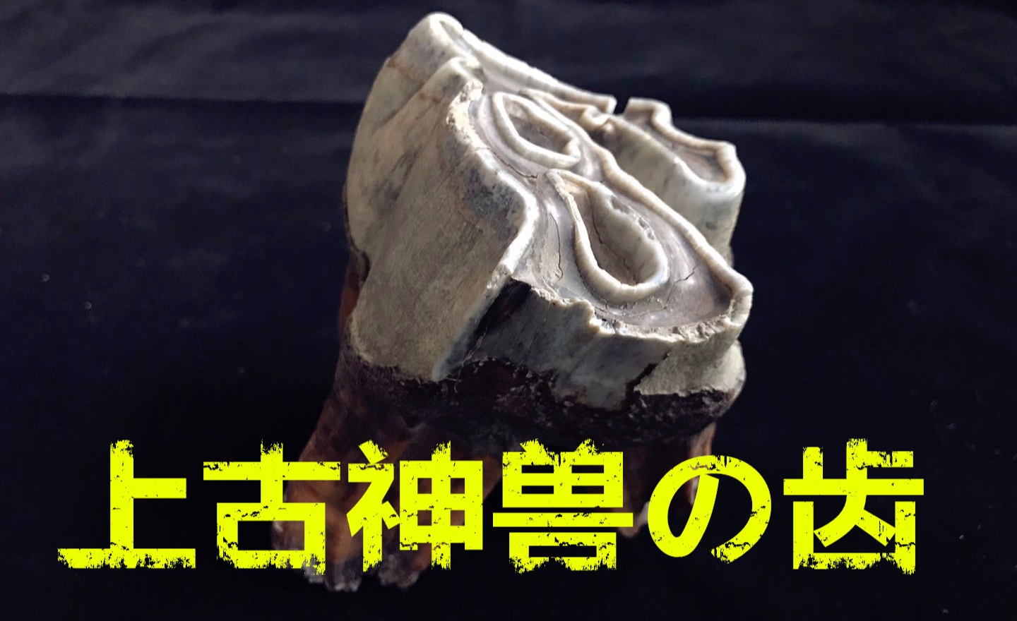 上古四大古神犼