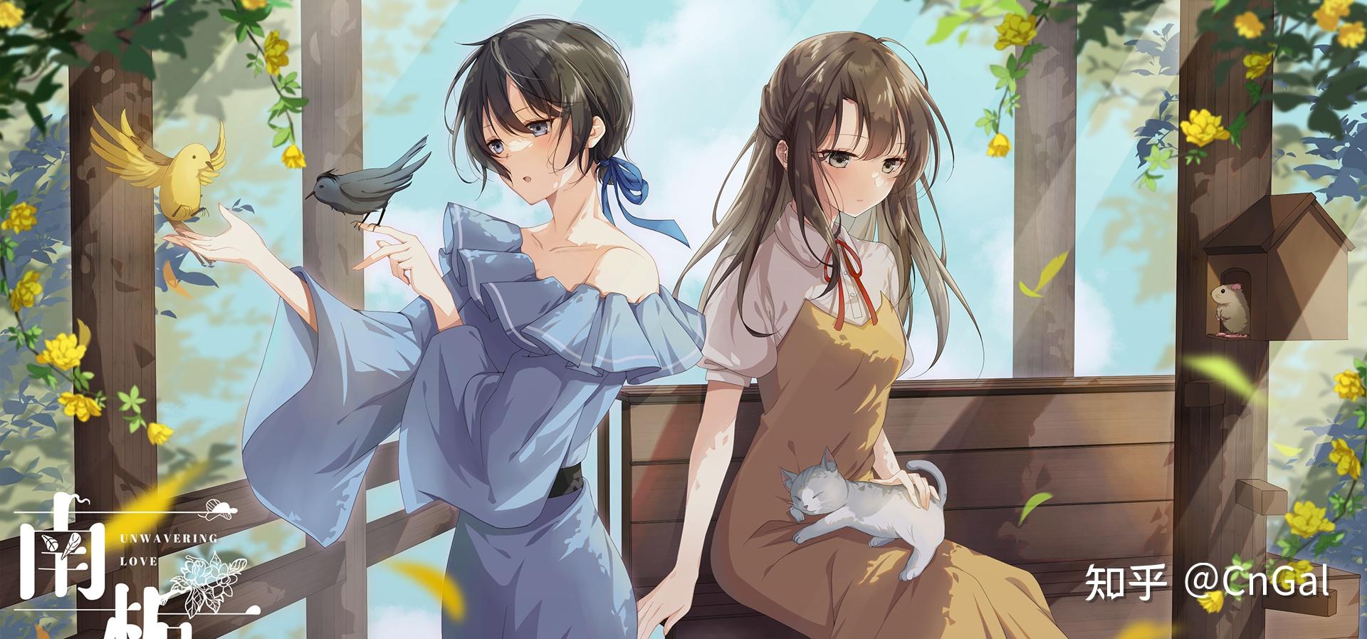 cngal每周速报2023年第53周