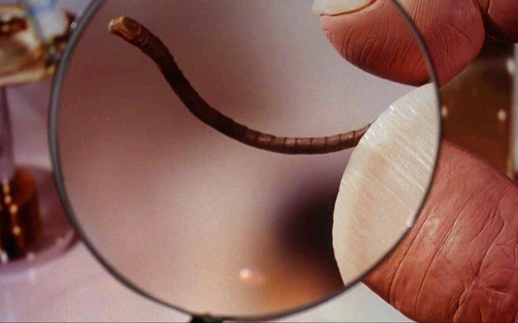 发布于 20 小时前 · 6794 次播放电影电影解说悬疑惊悚恐怖剧情欧美