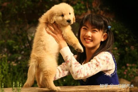 狗狗为什么不让我抱,是不爱我了吗?