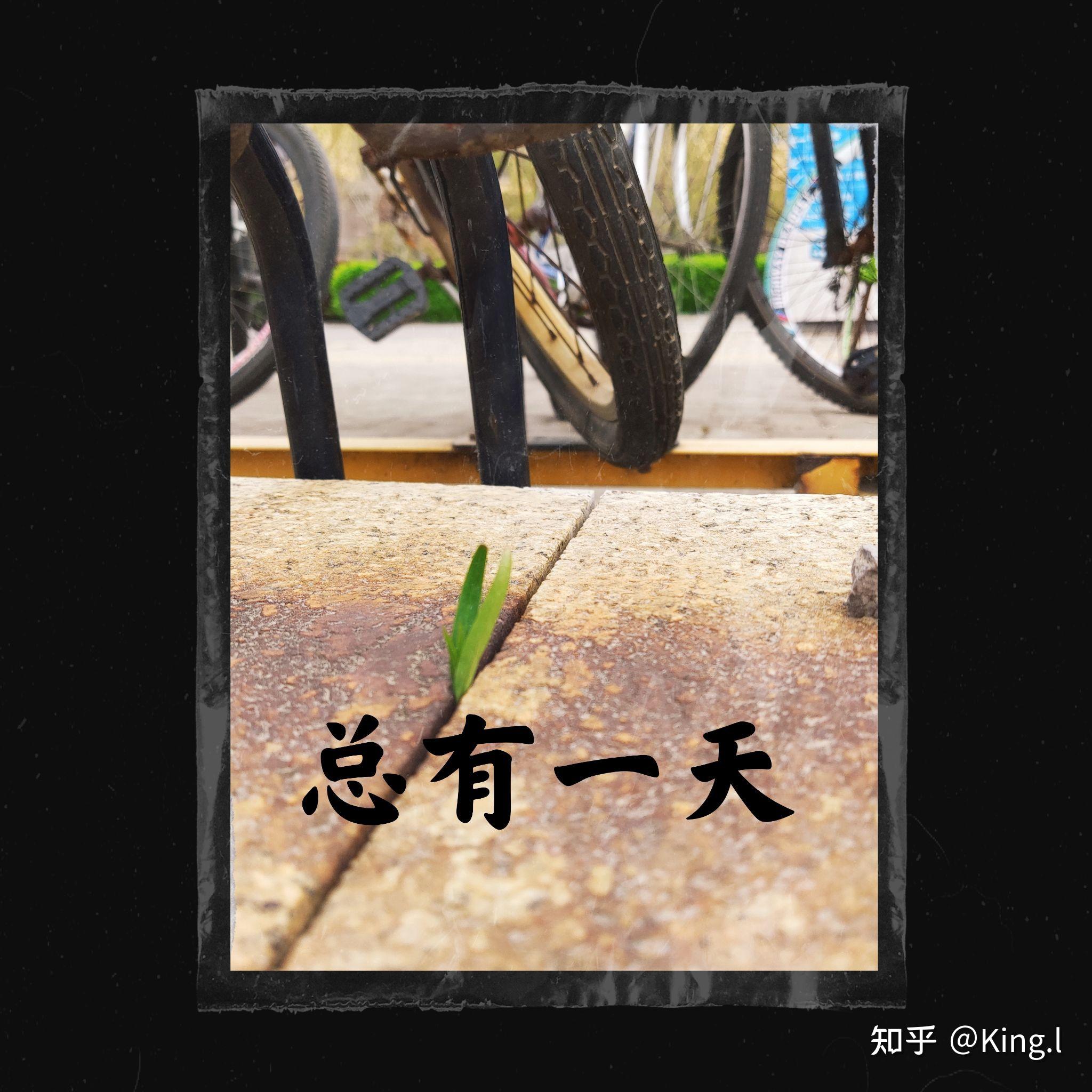 我烦死现在的大学生活了我该怎么做