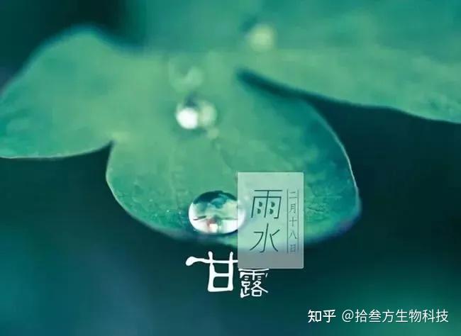 雨水節氣話養生二如何內養脾胃外防寒溼