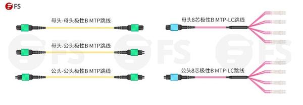 教你全面认识极性B MTP光纤跳线 - 知乎