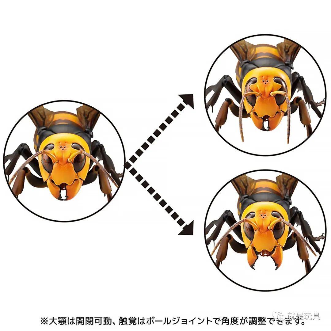 虎头蜂卡通图片图片