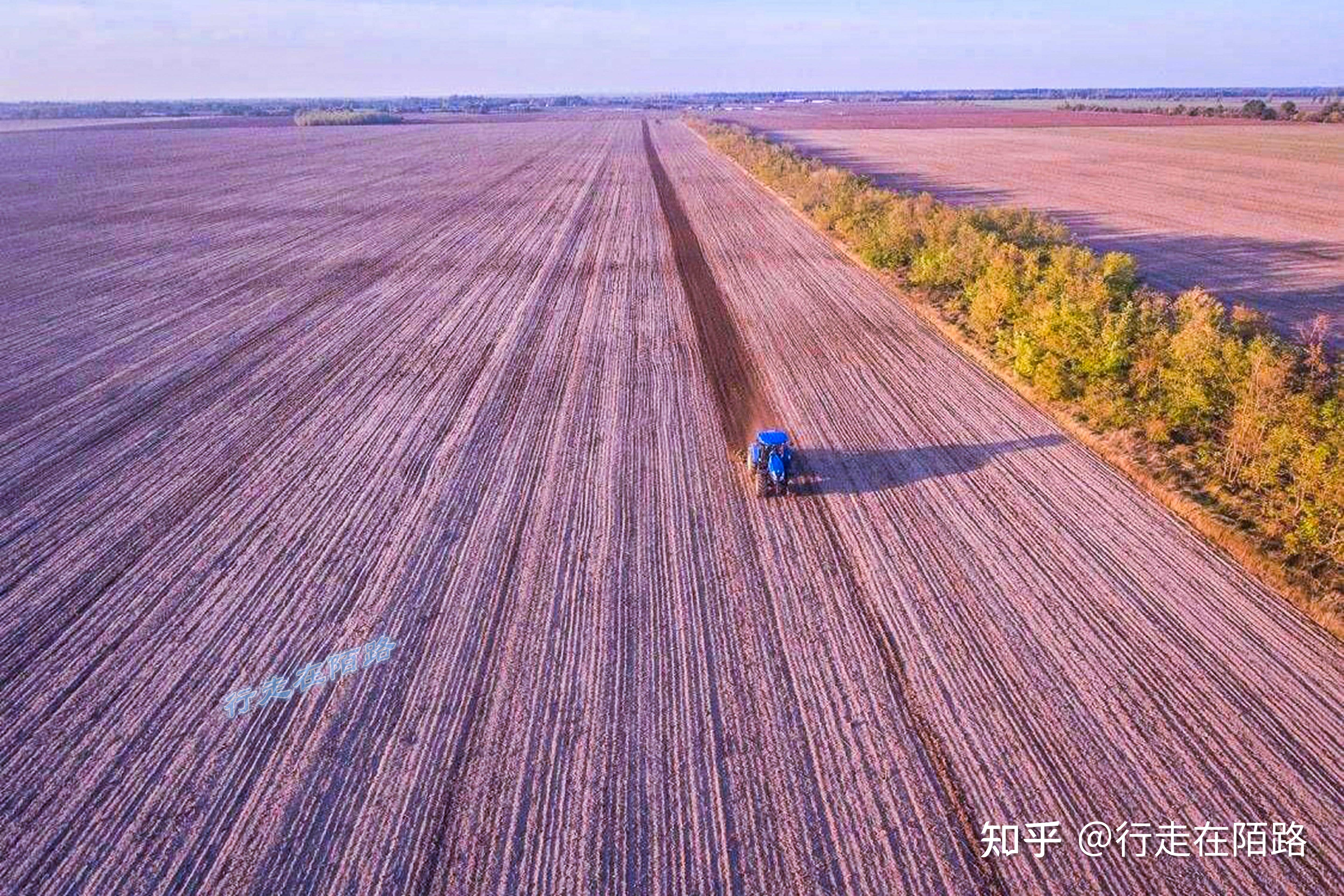 乌克兰农作物图片