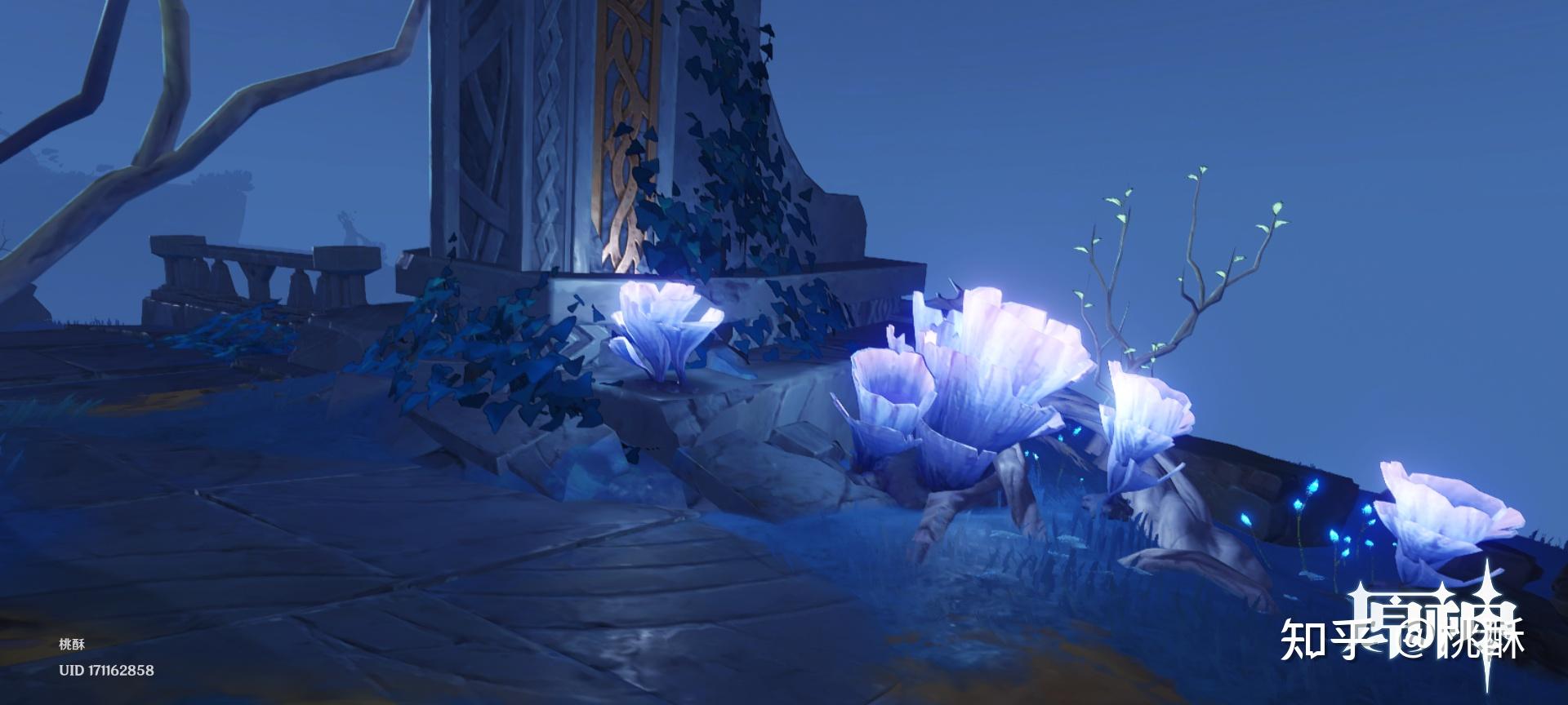 3月原神更新 - 知乎