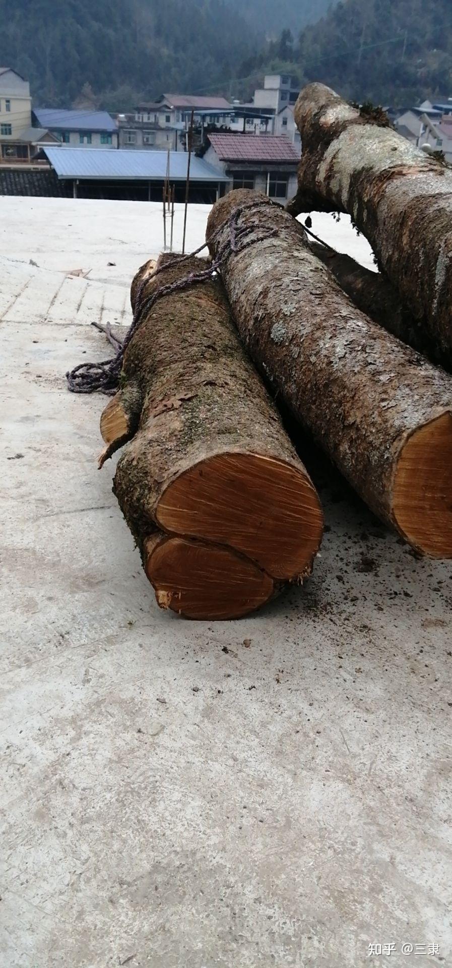 请回答木头 - 知乎