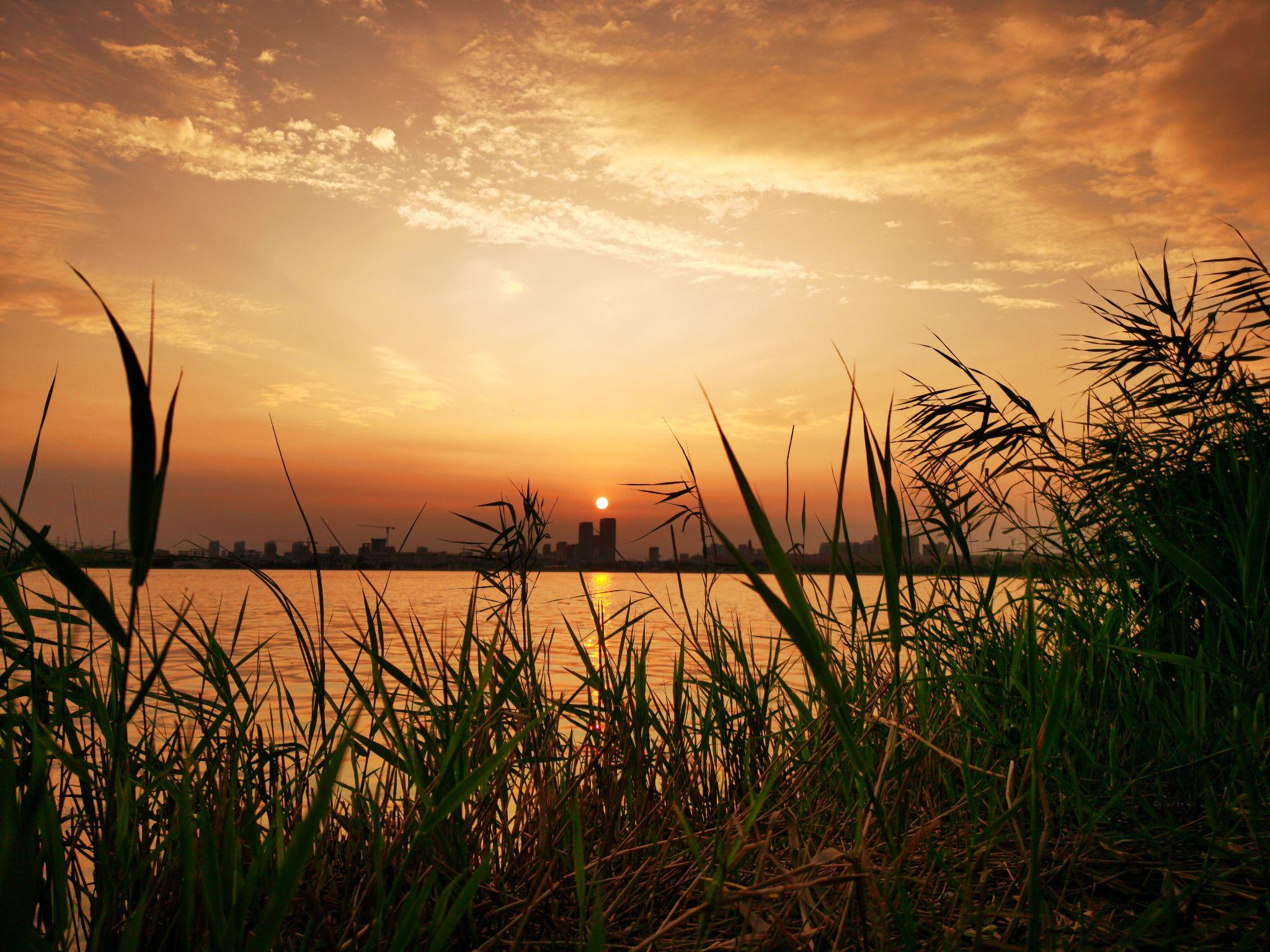 你的手机里有哪些自己拍的真实的风景照