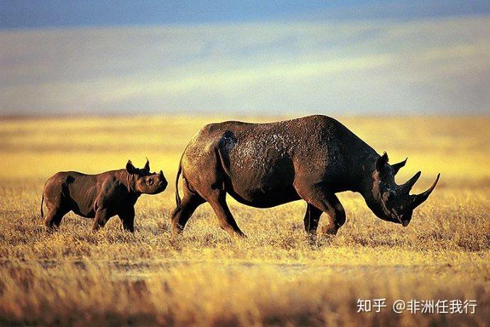 非洲天团bigfive成员专访