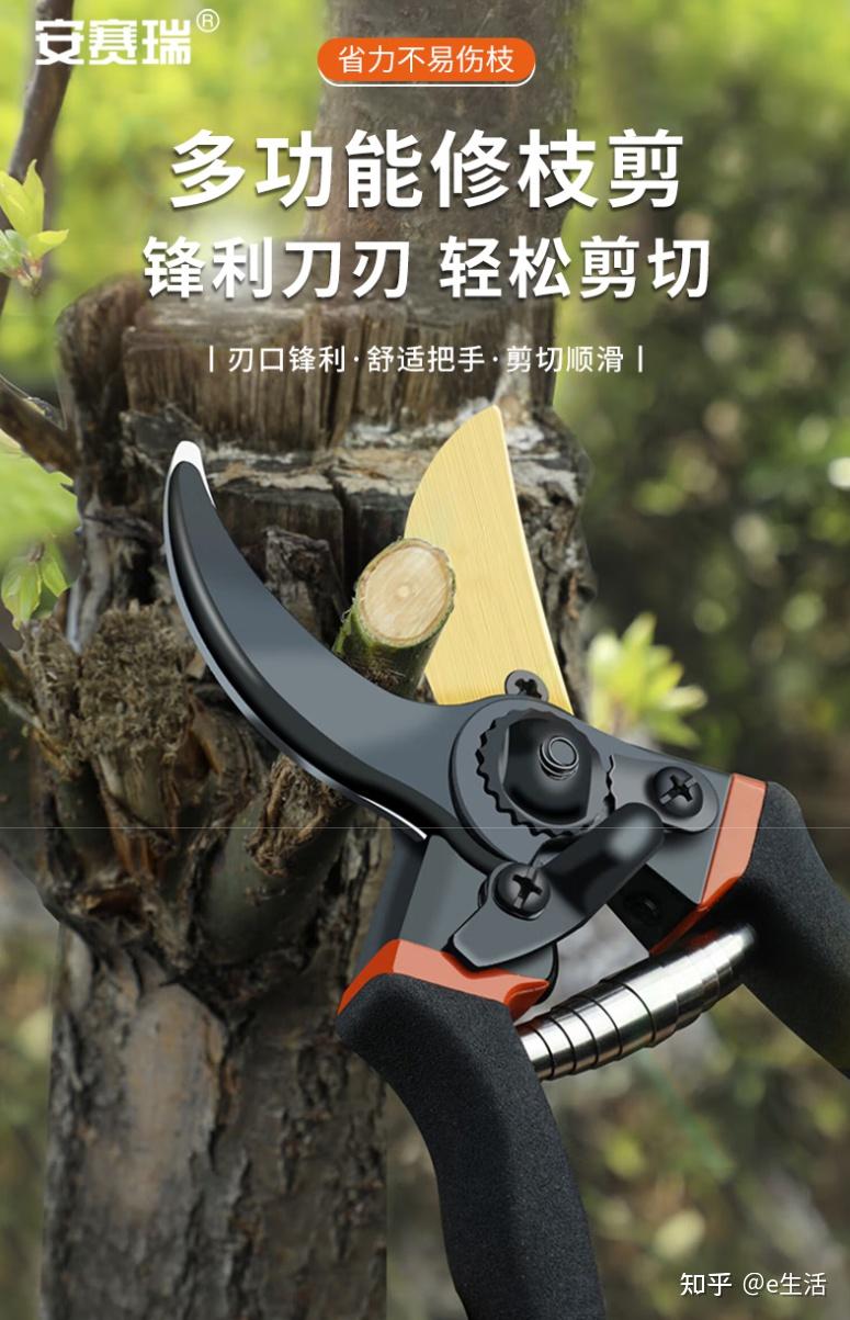 2025年十园林剪刀品牌排名 - 知乎