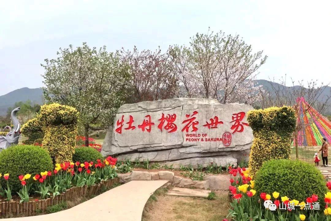 牡丹樱花世界位于重庆市垫江县新民镇,景区建成后将成为西南地区最大