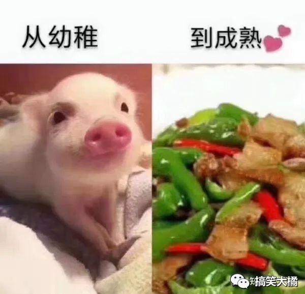 你收藏了哪些搞笑的图片?(22) - 知乎
