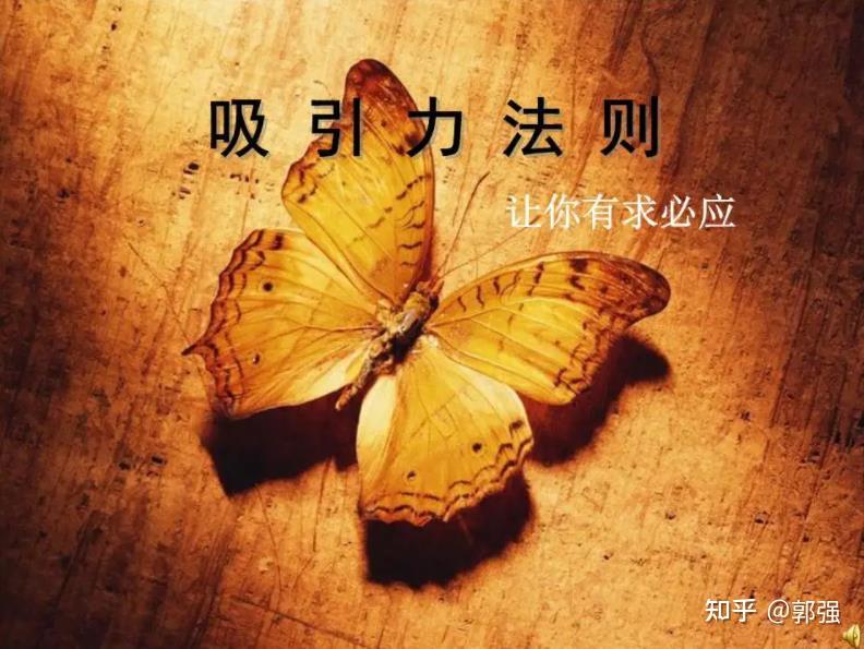 领导力法则吸引力法则