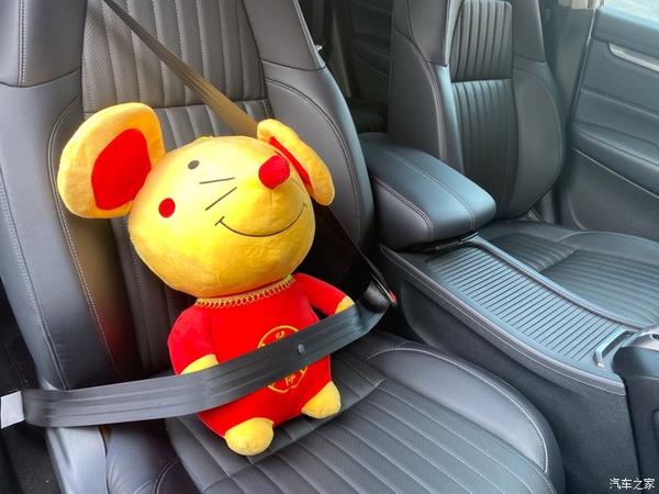 秋天的风秋天的心情带着我的小老鼠皓影一起出行