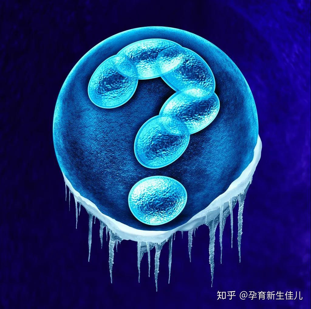 如何看待专家不建议冻卵这问题