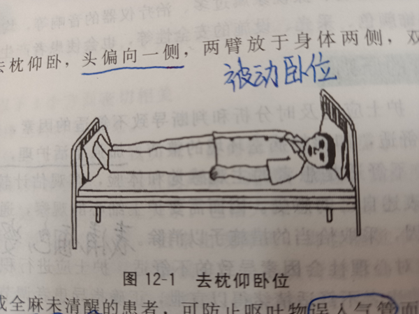 卧位与舒适 - 知乎