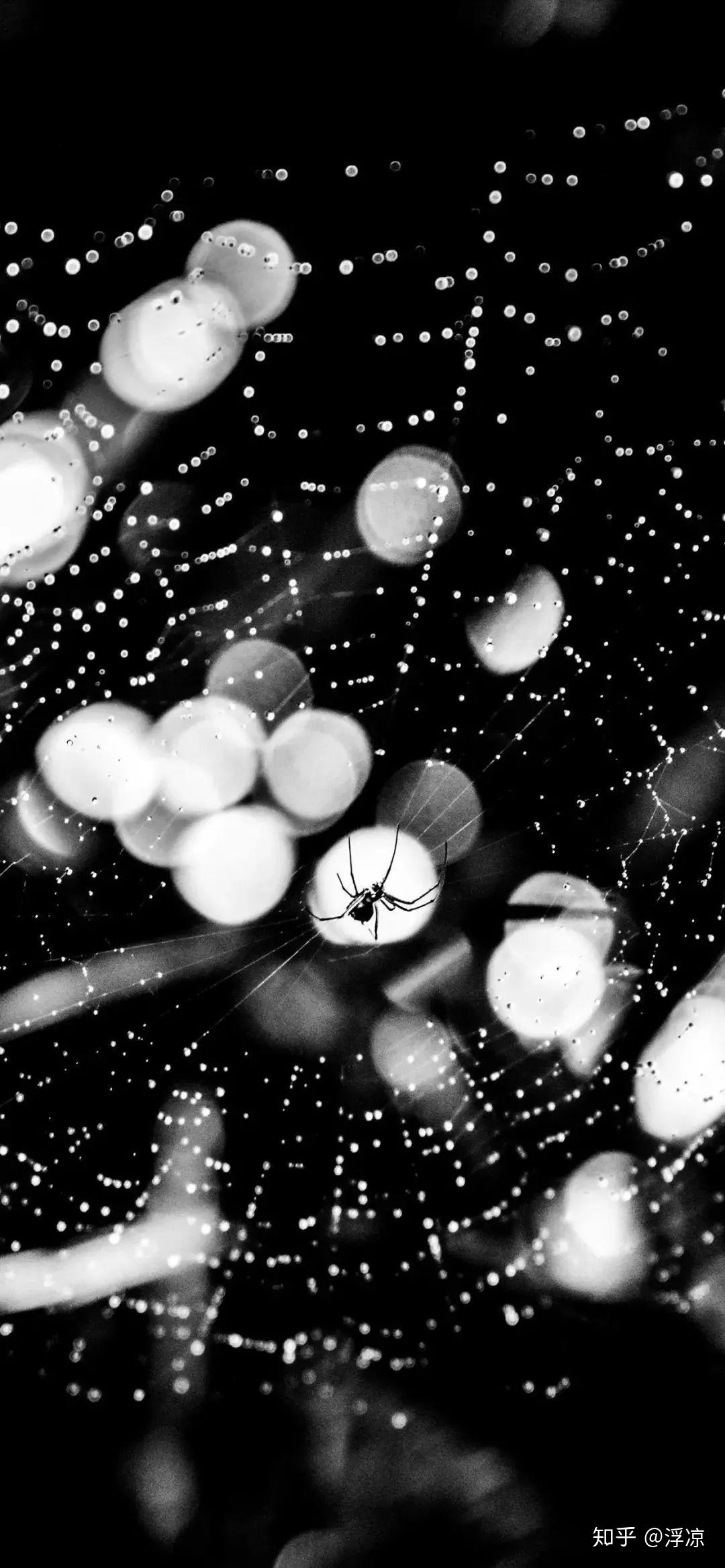 有没有暗黑系列的聊天背景图?